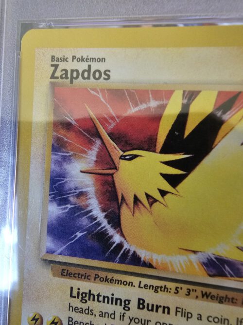 Zapdos (WP 23) – Bild 4
